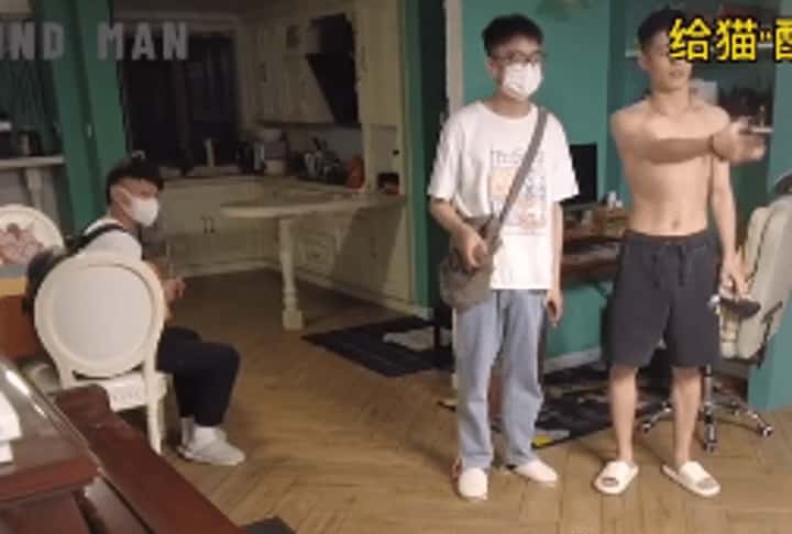 快乐风男：给猫配种